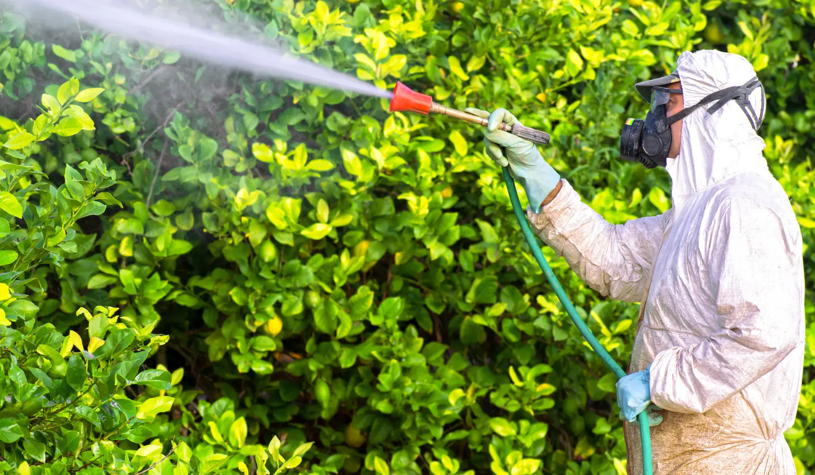 BCP Council Faces Growing Pressure Over Glyphosate and Herbicide Spending