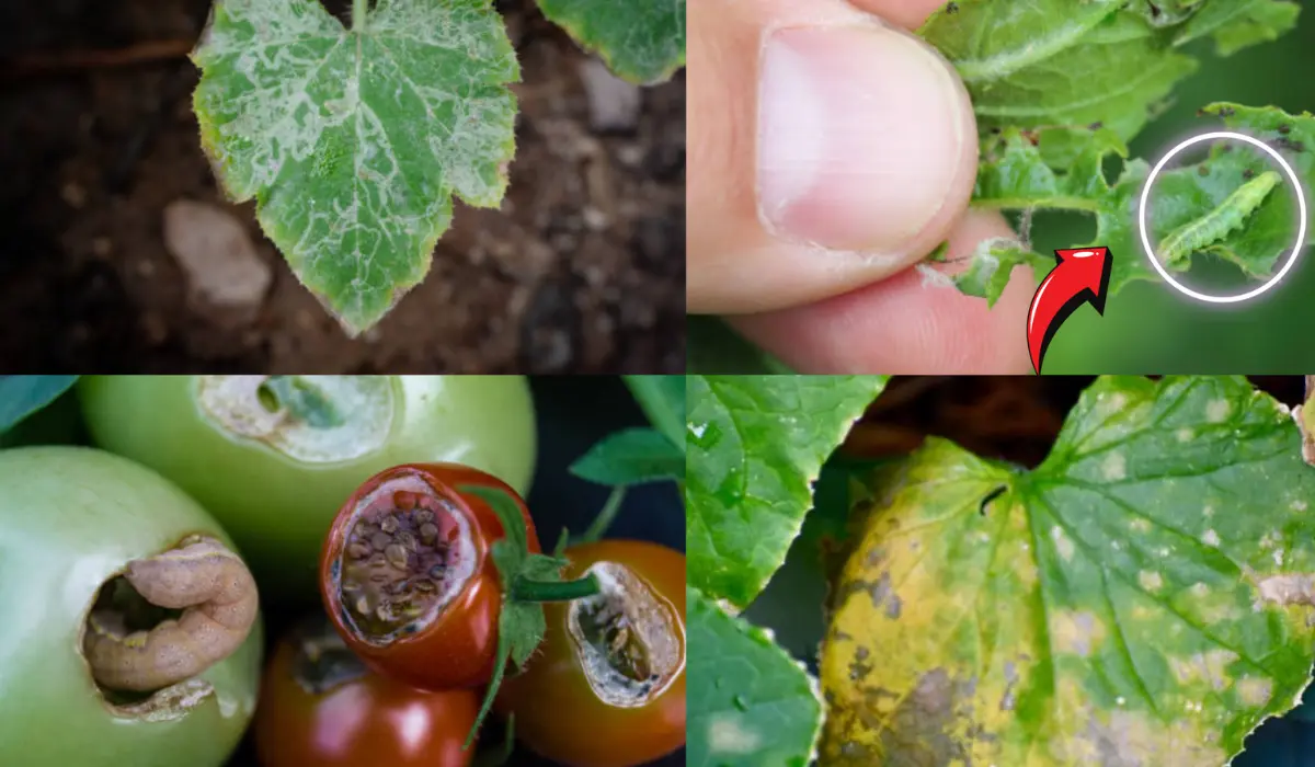 How to Identify Common Garden Pests By Their Leaf Signature