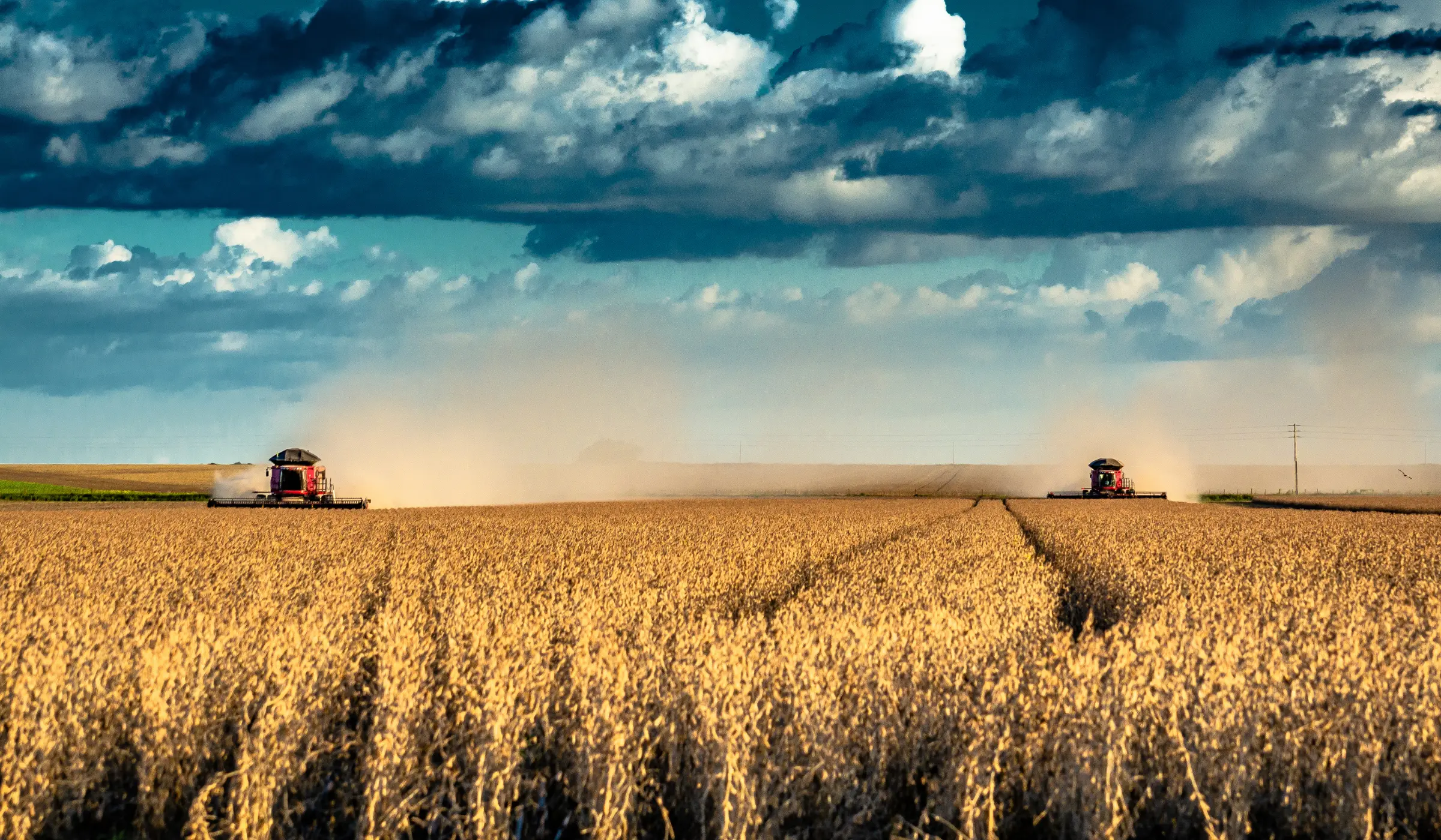 Ohio Farmers Battle Drought, Pests, and Quality Concerns