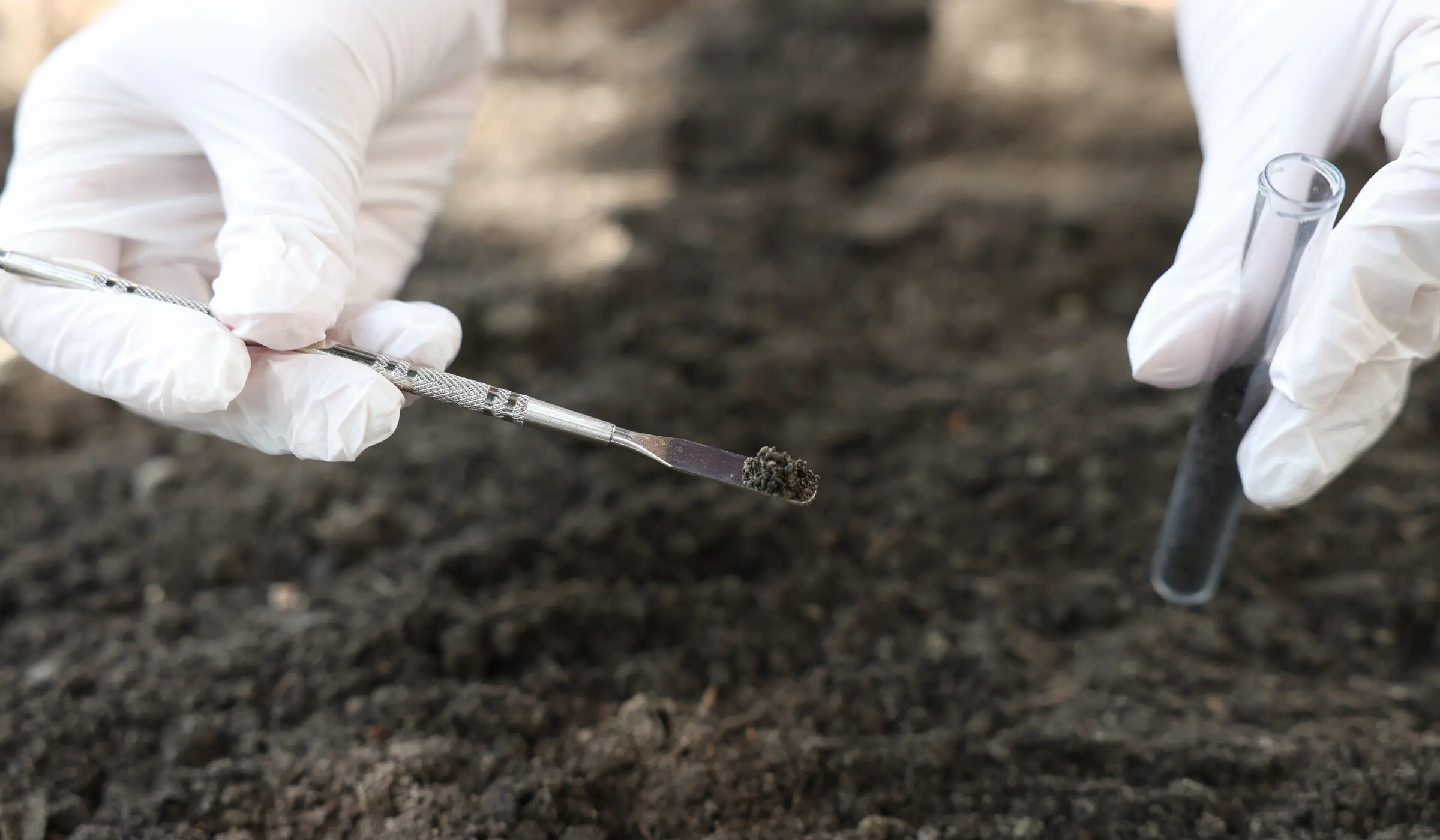 Weather and Soil Conditions