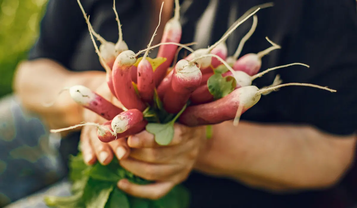Why Every Gardener Must Grow These 6 Root Vegetables