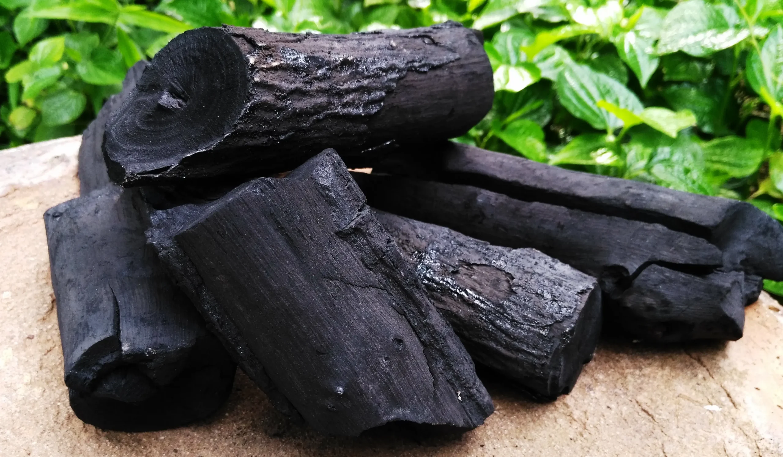 charcoal in the garden
